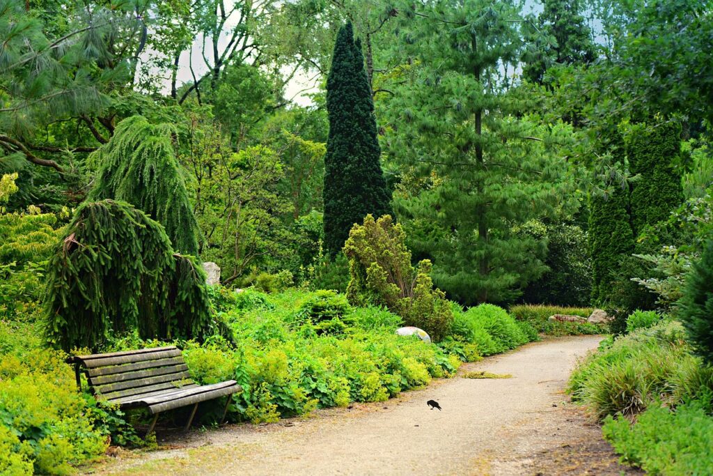 park, path, bench-4314817.jpg